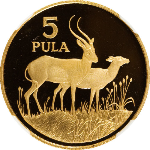 5 pula - Botswana