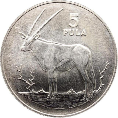 5 pula - Botswana