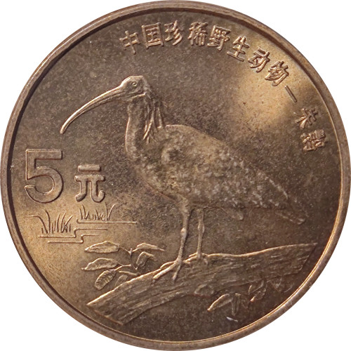 5 yuan - China