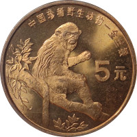 5 yuan - China