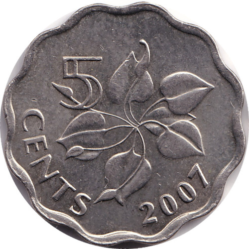 5 cents - Eswatini