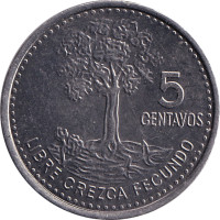 5 centavos - Guatemala