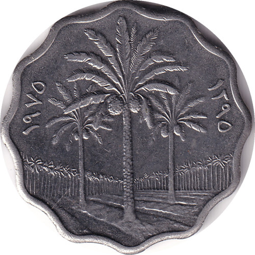 5 fils - Iraq