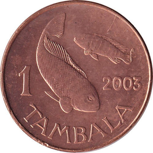 1 tambala - Malawi