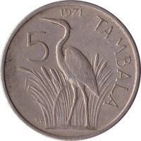 5 tambala - Malawi