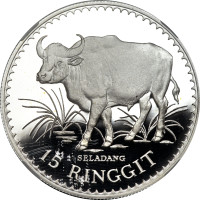 15 ringgit - Malaysia