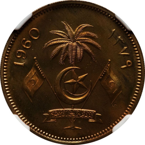 50 laari - Maldives