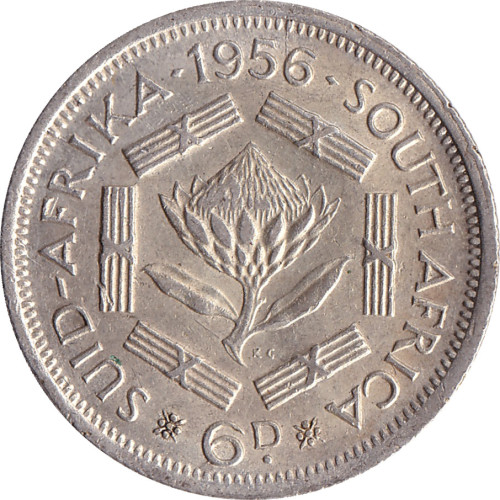 6 pence - South Africa