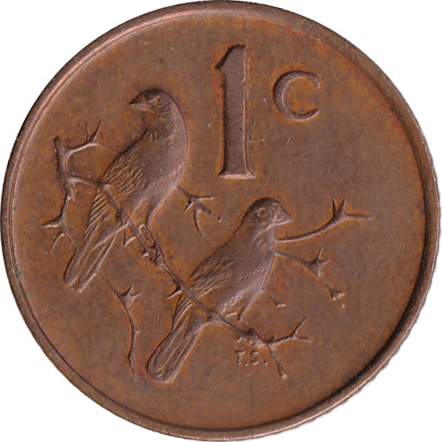 1 cent - Afrique du Sud