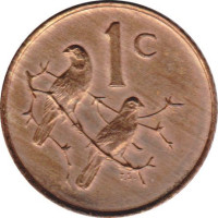 1 cent - Afrique du Sud