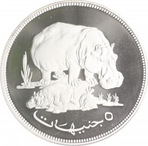 5 pound - Sudan