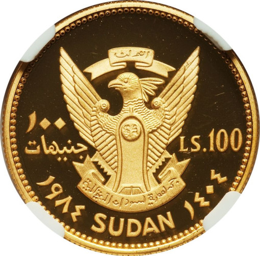 100 pound - Sudan