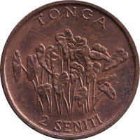 2 seniti - Tonga