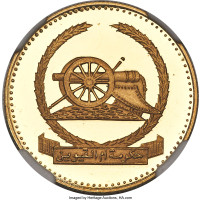 25 riyals - United Arab Emirates