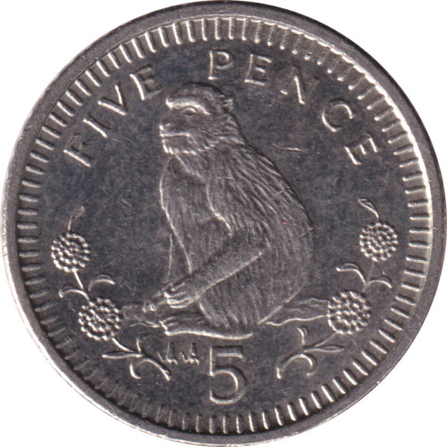 5 pence - United Kingdom