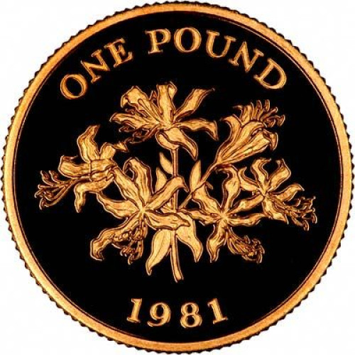 1 pound - United Kingdom