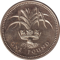 1 pound - United Kingdom