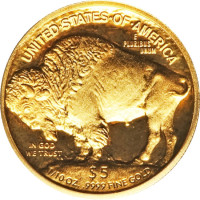 5 dollars - United States of America