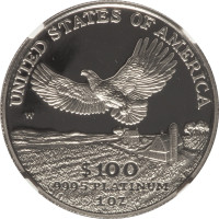 100 dollars - United States of America