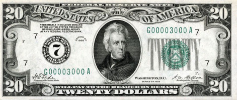 20 dollars - United States of America