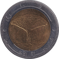 20 riyals - Yemen