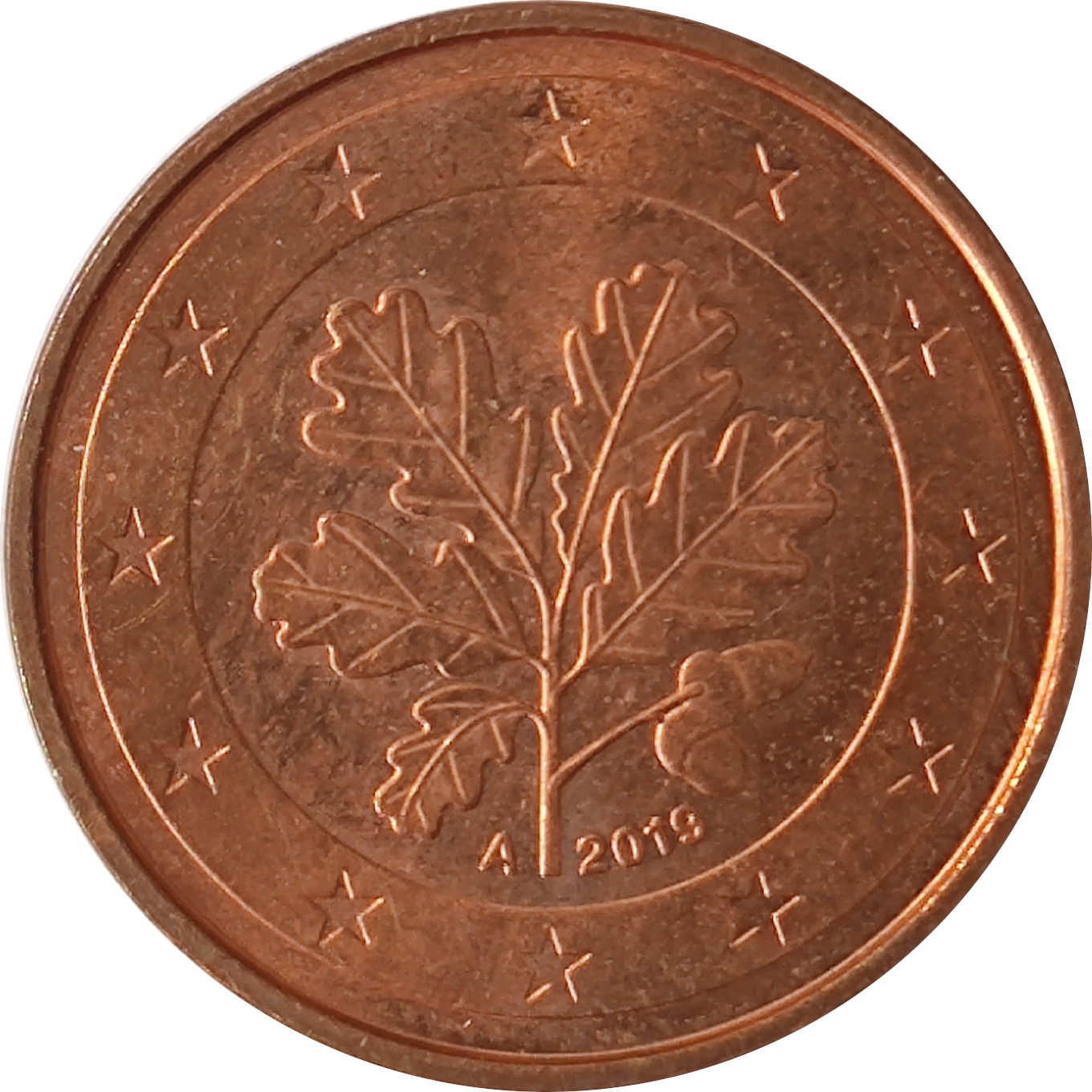 5 eurocents - Oak branch