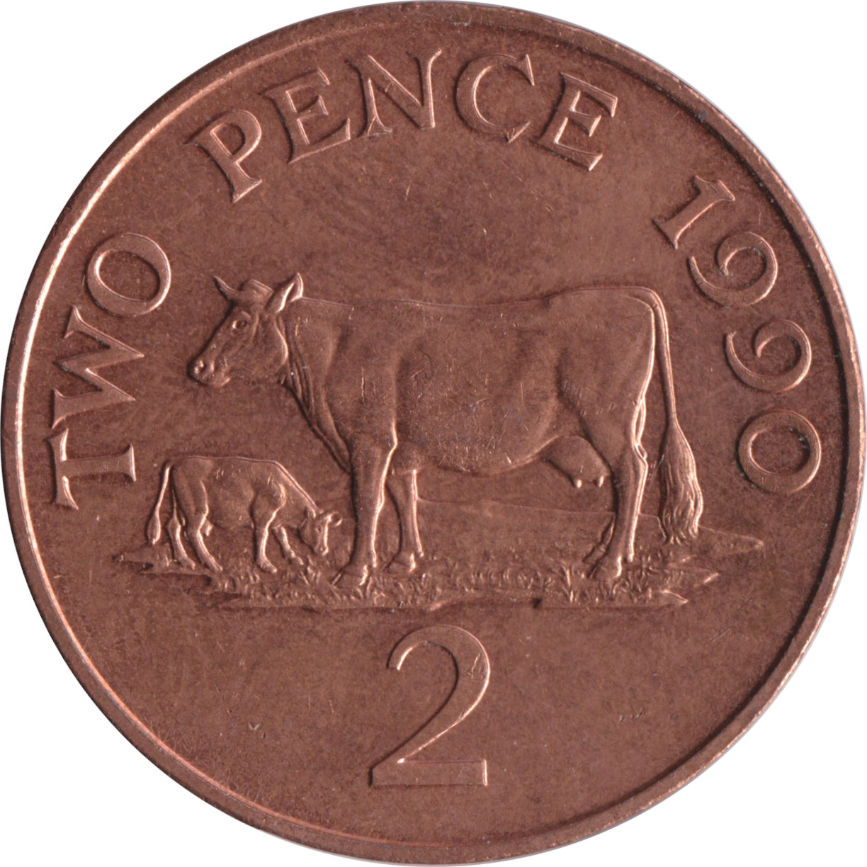 2 pence - Elizabeth II - Tête mature - Bronze