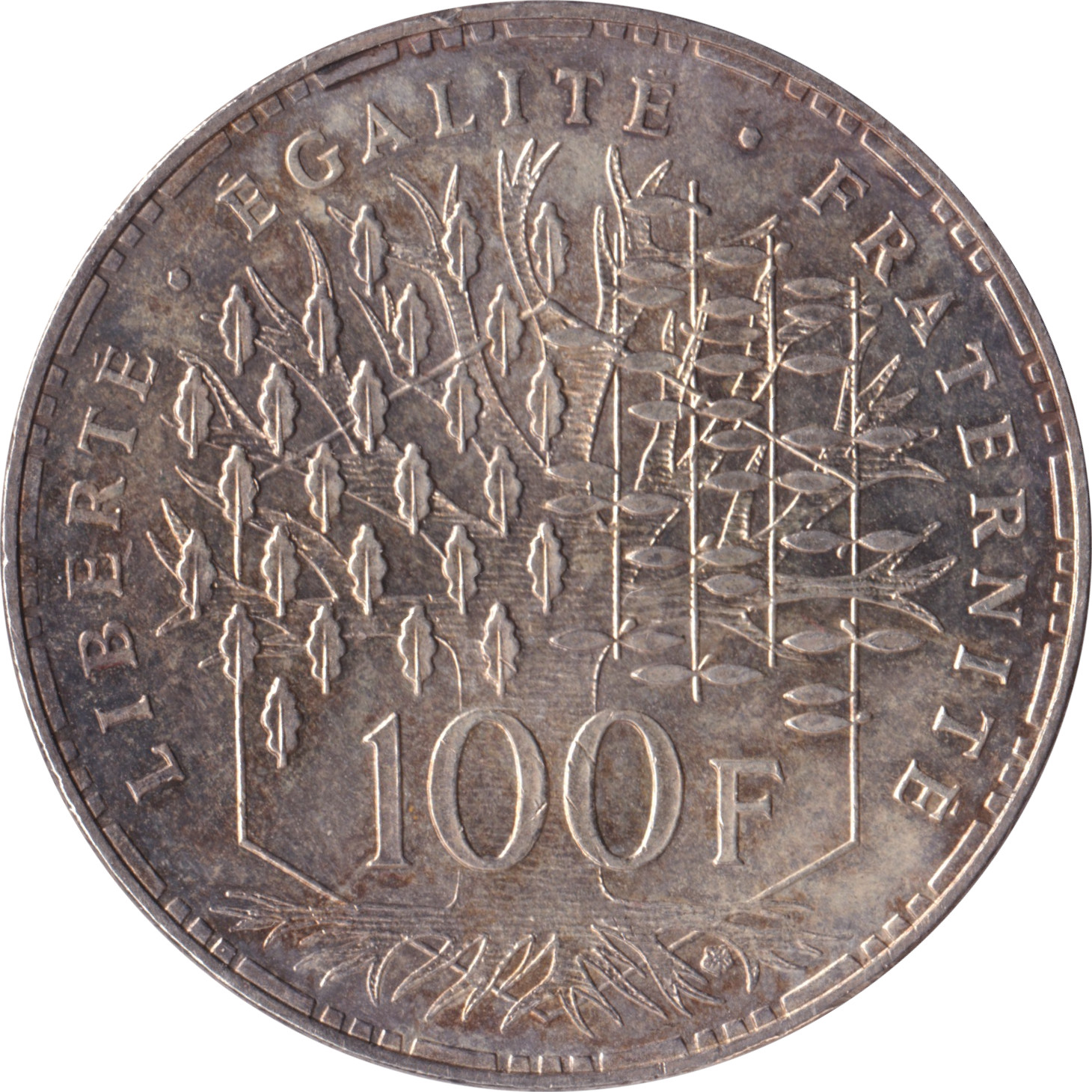 100 francs silver - Panthéon