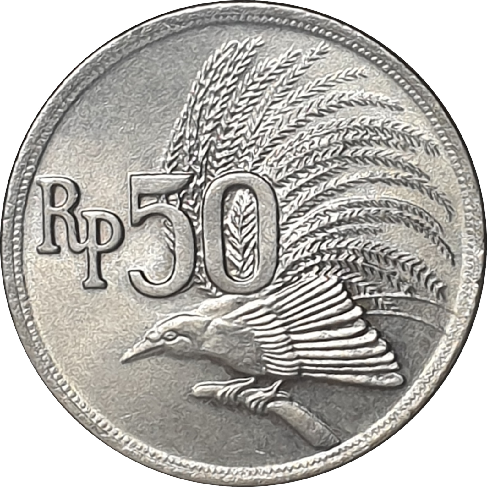 50 rupiah - Bird