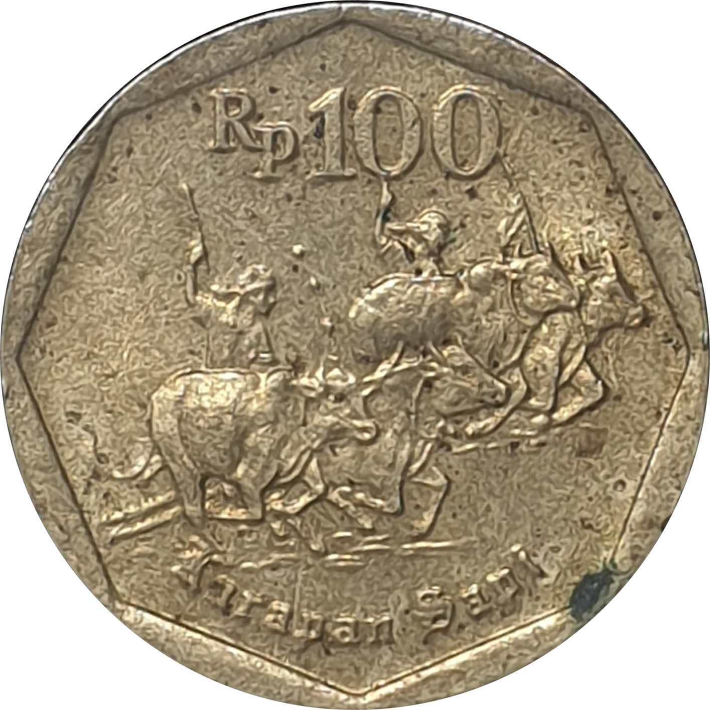 100 rupiah - Buffalo racers