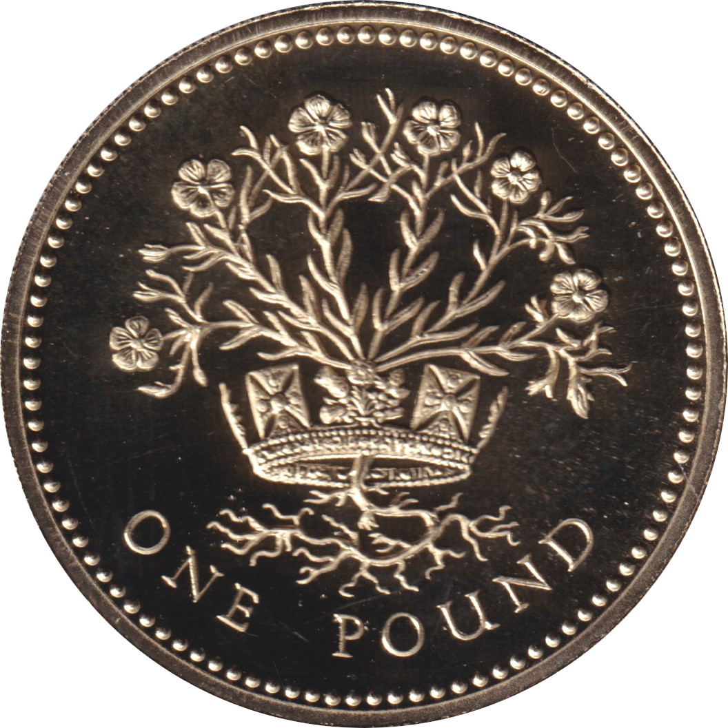 1 pound - Elizabeth II - Tête mature - Armoiries d'Irlande du Nord