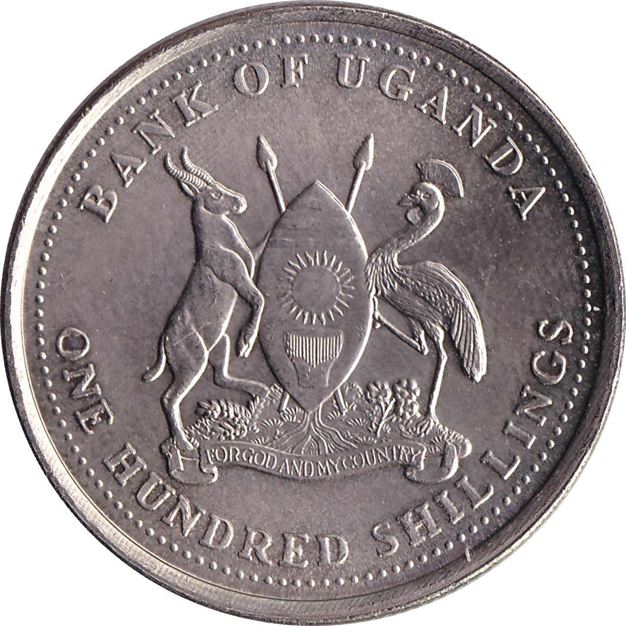 100 shillings - African Buffalo - Cupronickel