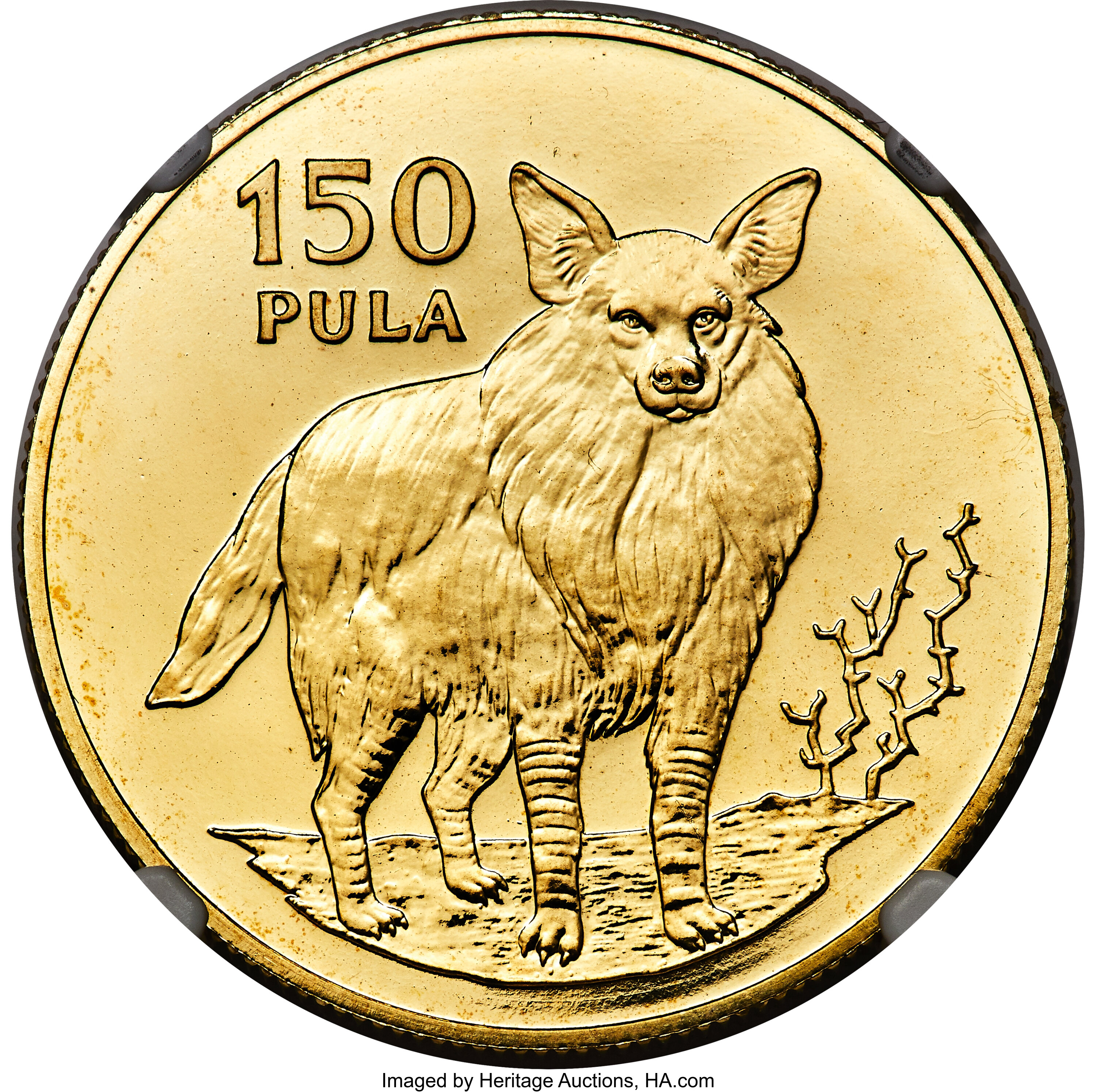 150 pula or - Loup