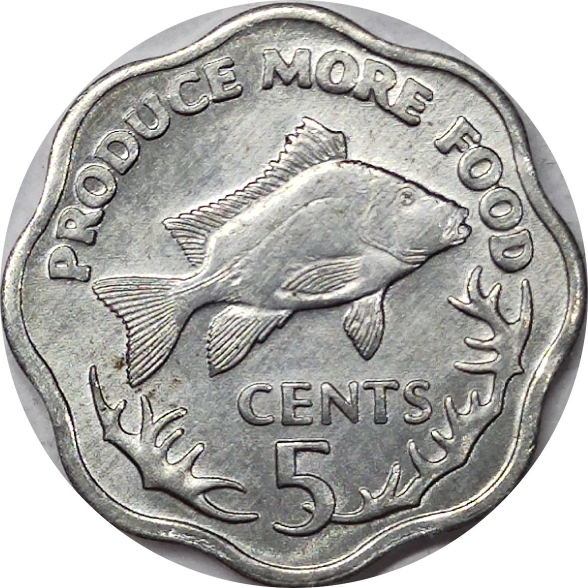 5 cents - FAO - Poisson