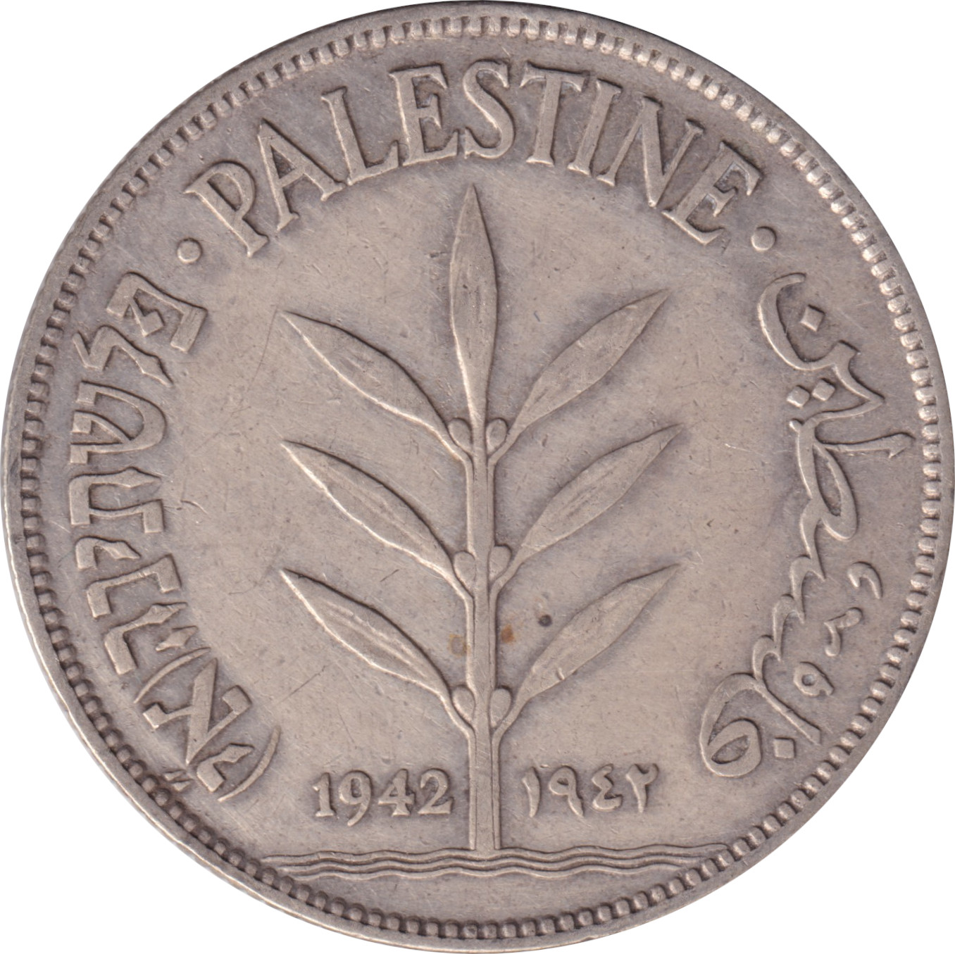 100 mils silver - Plant