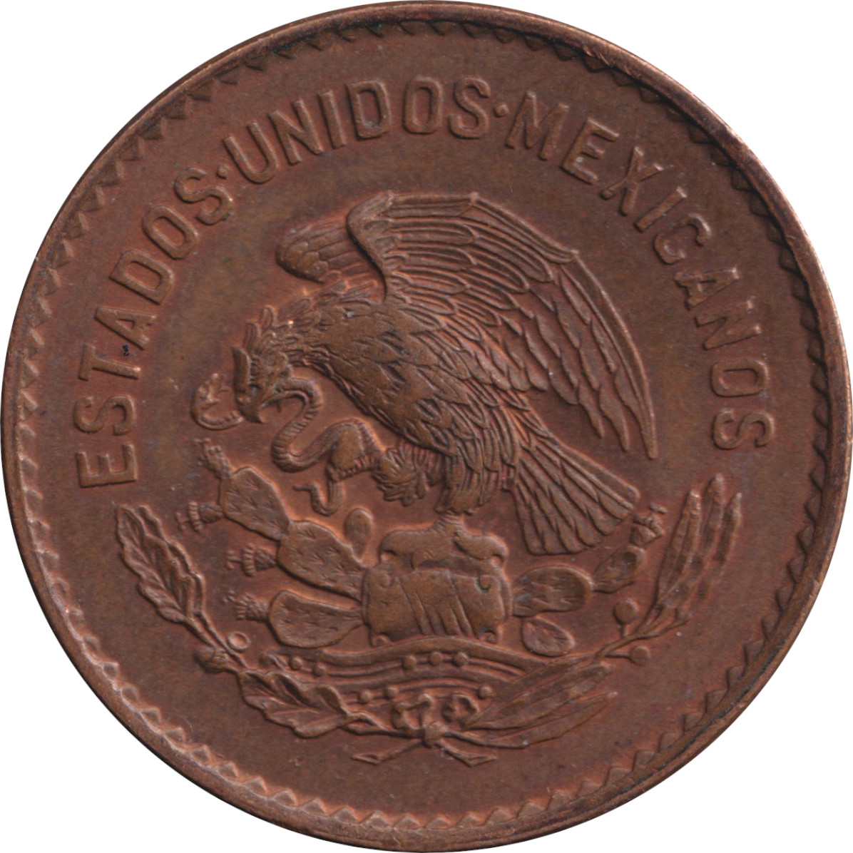 5 centavos - Aigle de profil - Bronze