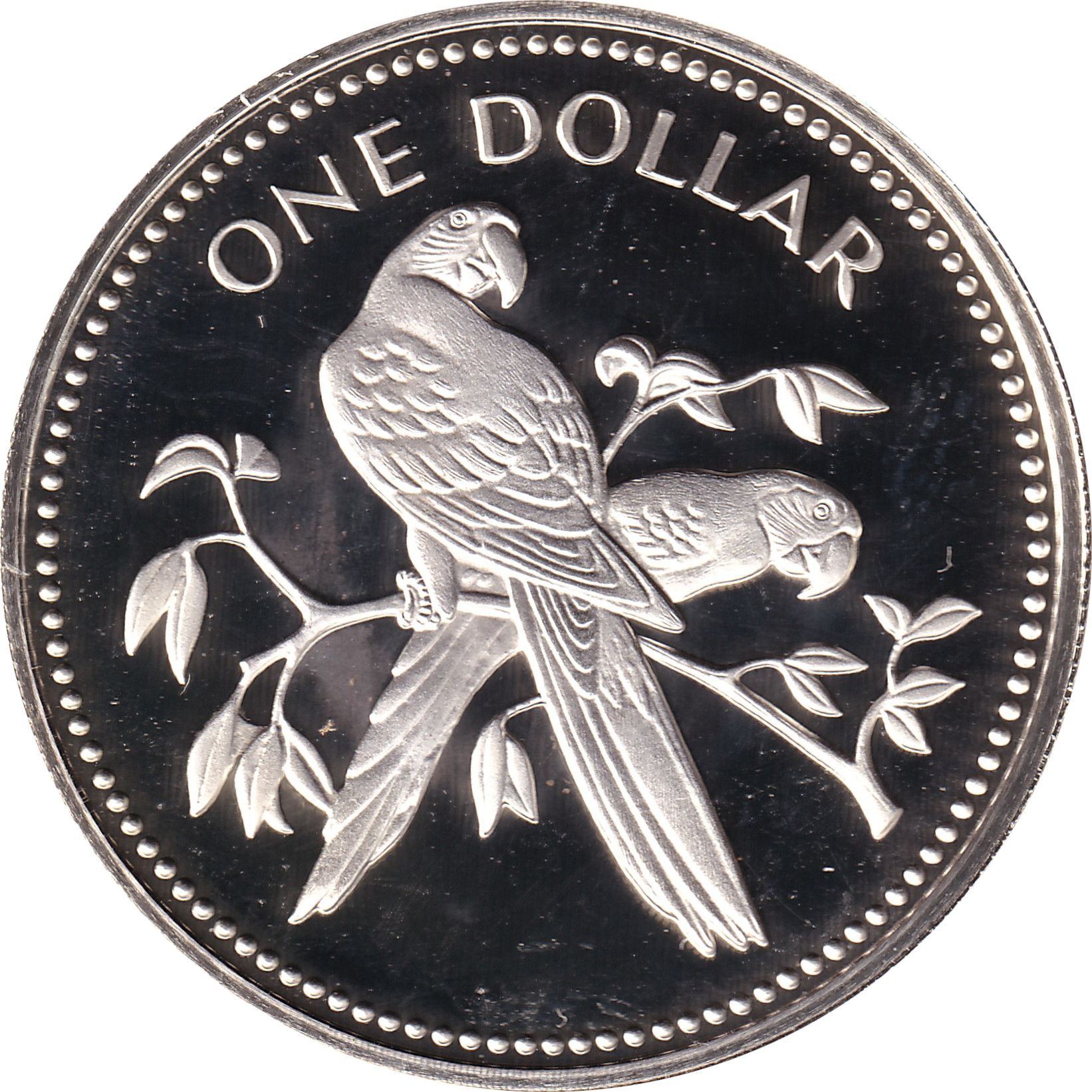 1 dollar silver - Large arms