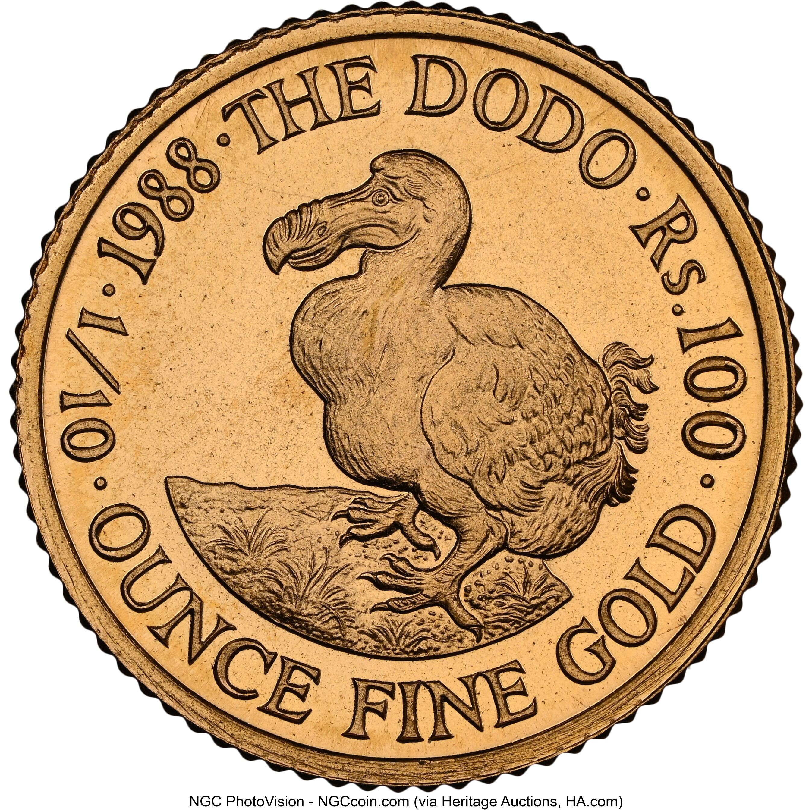 100 rupees or - Dodo