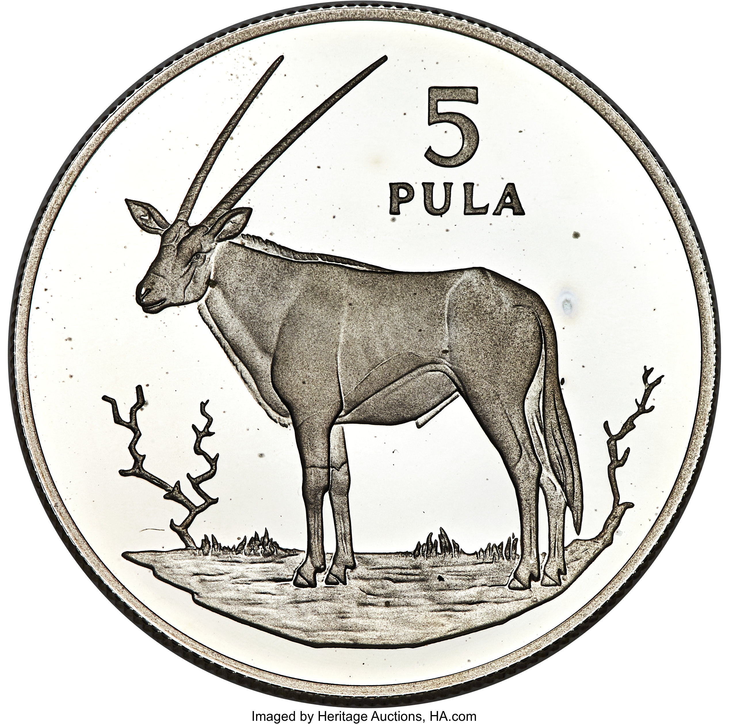 5 pula silver - Oryx