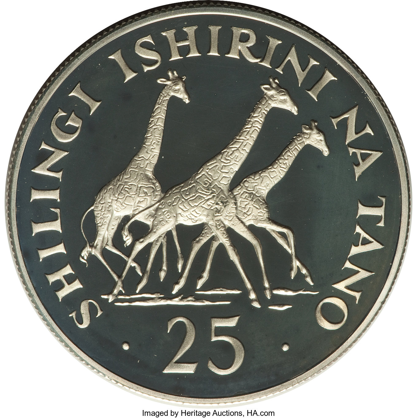 25 shilingi silver - WWF - 15 years