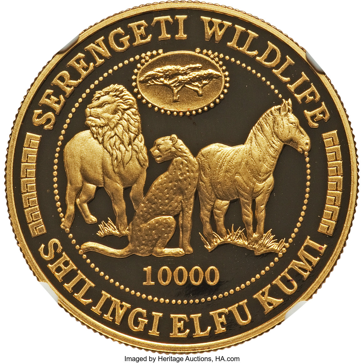 10000 shilingi gold - Nature sauvage