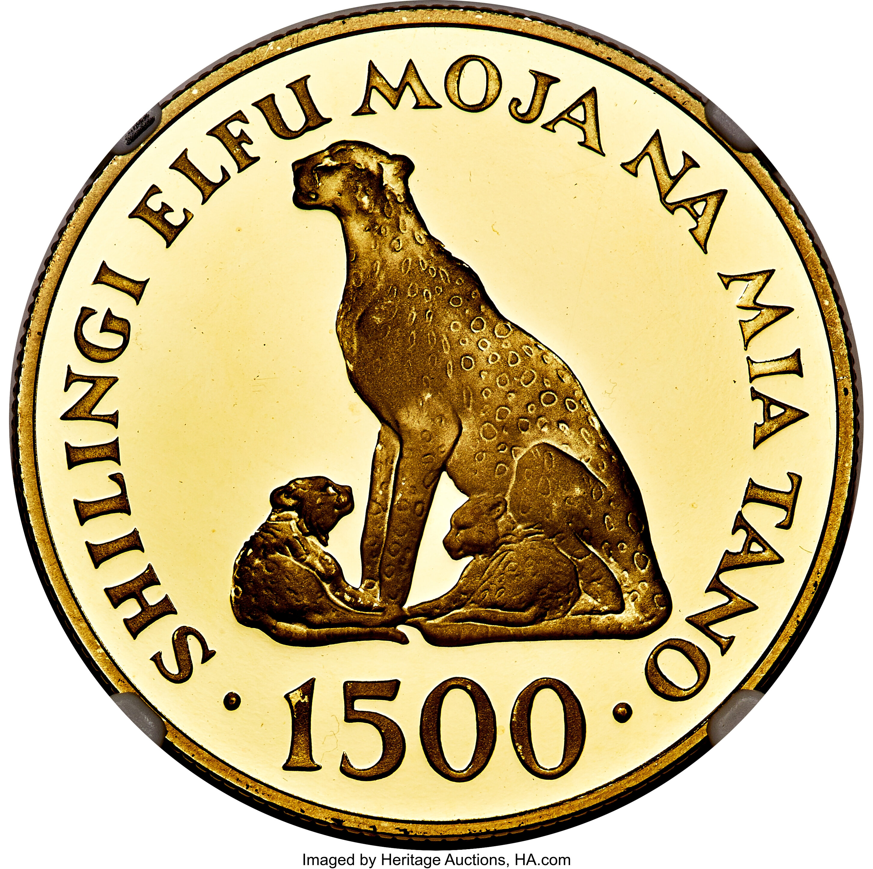 1500 shilingi gold - WWF - 15 years