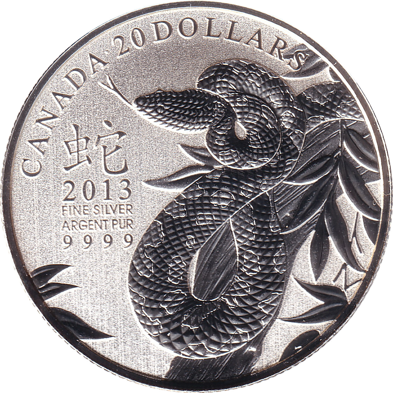 20 dollars silver - Year of the Snake